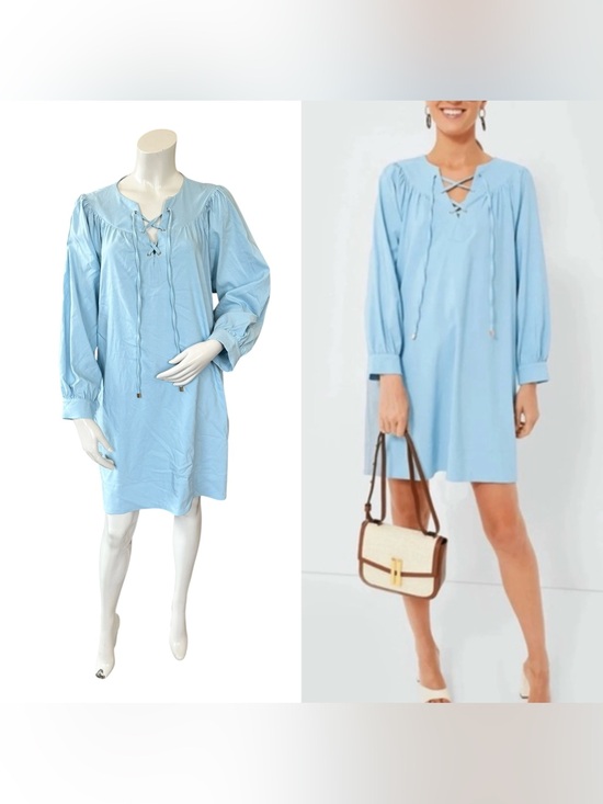 Pomander Place Dresses & Skirts - Tuckernuck Pomander Place Robbie Baby Blue Long Sleeve Mini Shift Dress Large